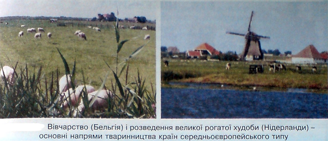 Тваринництво