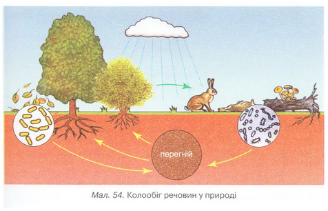 Мал.544.jpg