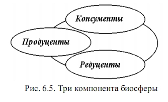 биосфера