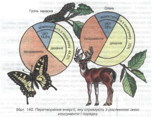 Перетворення єнергії