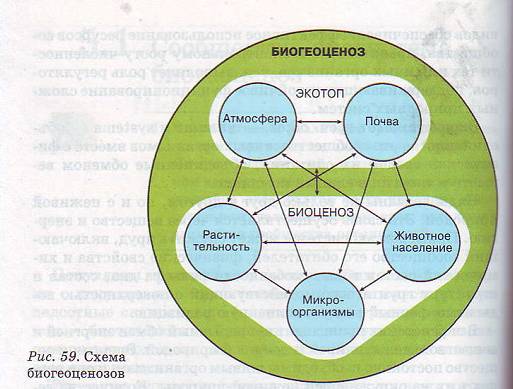 Биогеоценоз