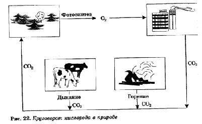 круговород кислорода