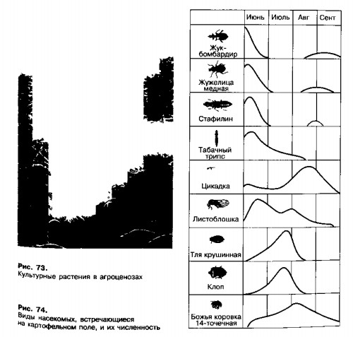 1001-32.jpg