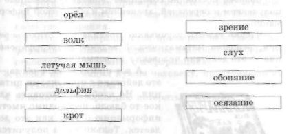 Виды информации по форме представления