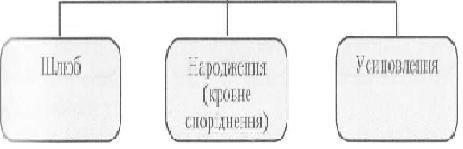народження, усиновлення