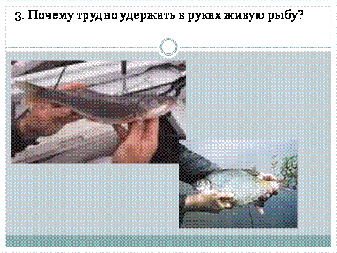 задача