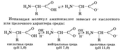 Аминокислоты