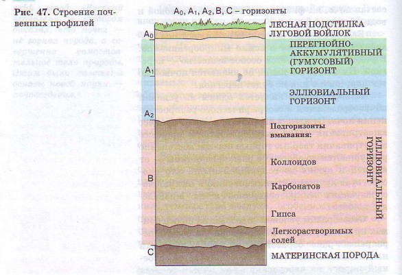 Строение почвенных профилей