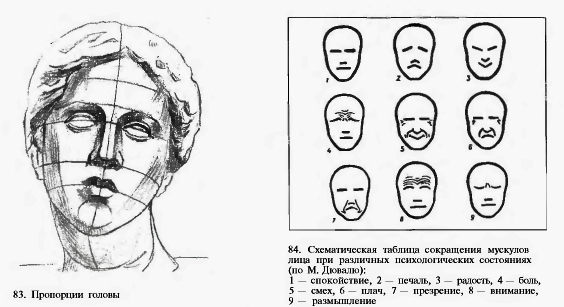 83. Пропорции головы. 84. Схематическая таблица сокращения мускулов лица при различных психологических состояниях (по М. Дювалю): 1 – спокойствие, 2 – печаль, 3 – радость,  4 – боль, 5 – смех, 6 – плач, 7 – презрение, 8 – внимание, 9 – размышление