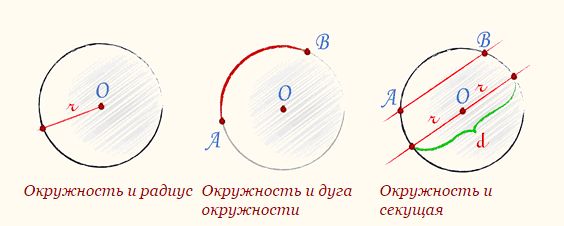 окружность