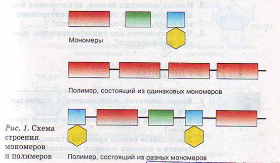 Строение мономеров и полимеров