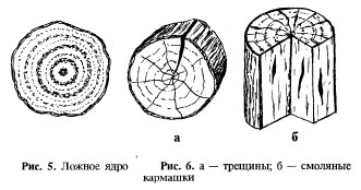 ложное ядро