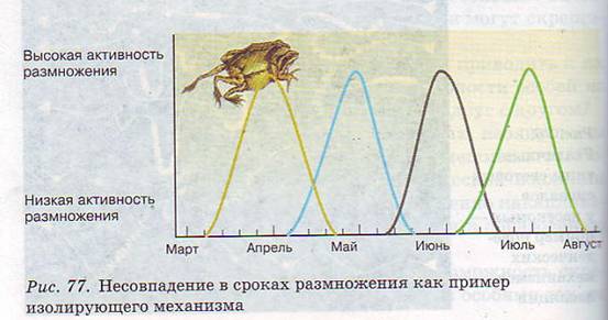 Изолирующие механизмы