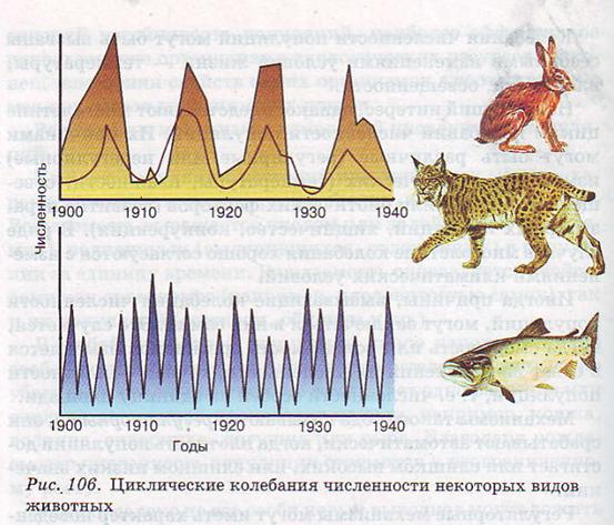 Циклические колебания