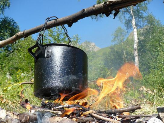 Лес костер.JPG