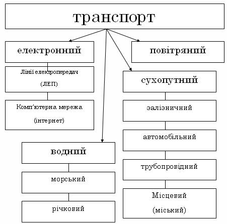 Виды транспорта