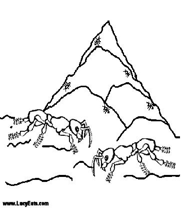 Nem5-tvarunu-il9.jpg