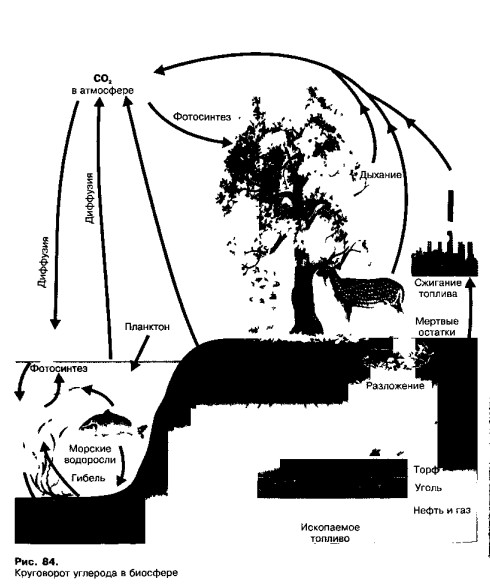 1001-44.jpg