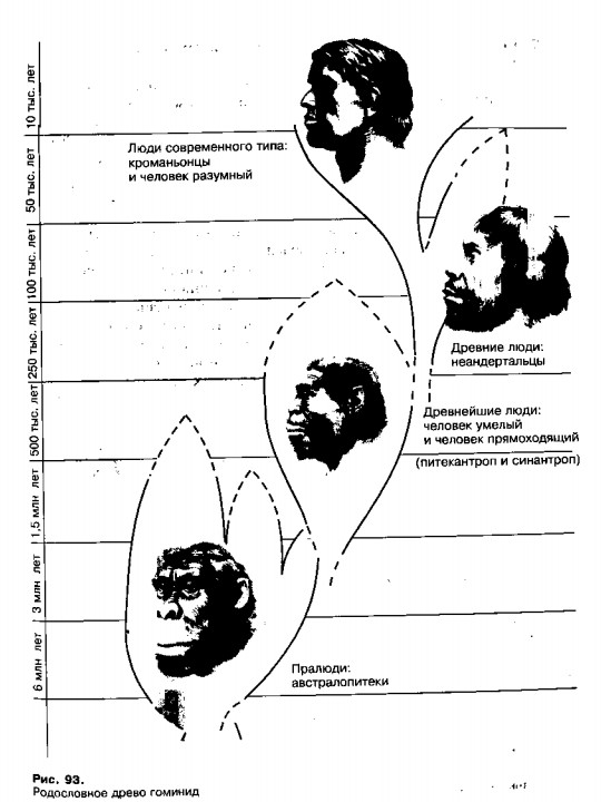 История развития экологических связей человечества