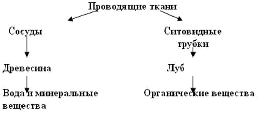 Пропускаючі тканини