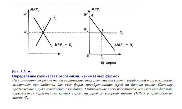 Определение количества работников, нанимаемых фирмой