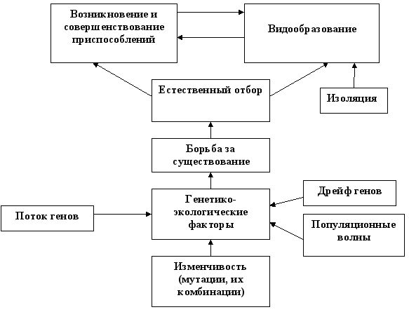 микроэволюция