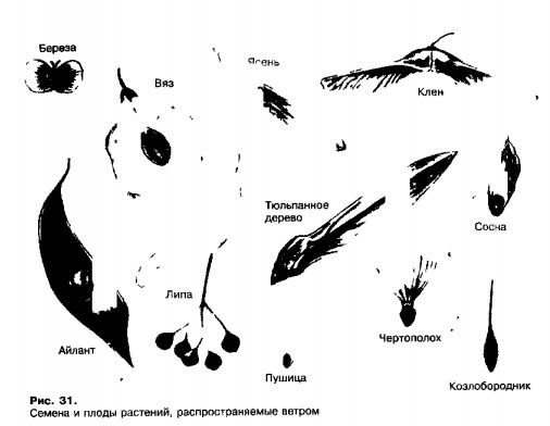 0901-23.jpg