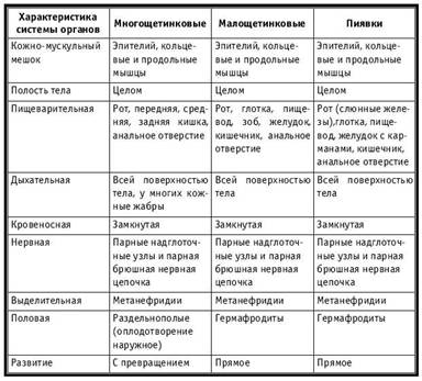 Характеристика класів Типу Кільчасті черві