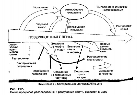 Нефть, вылитая в море