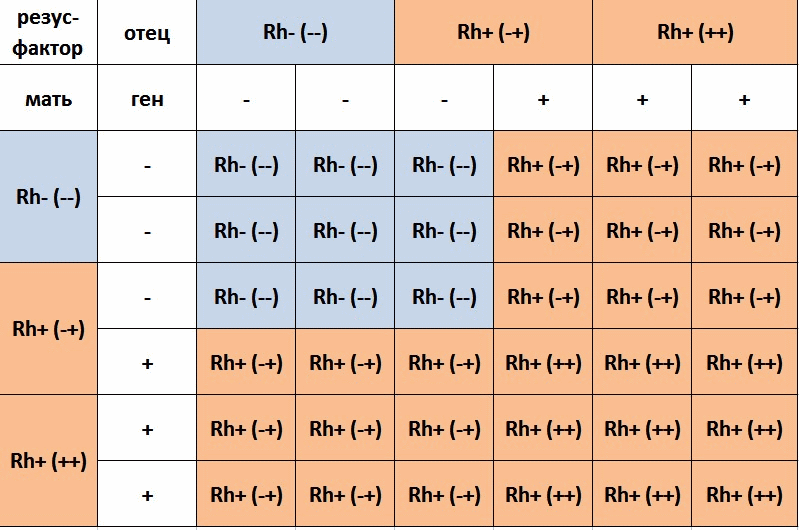 Донорство