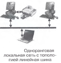 Локальная сеть