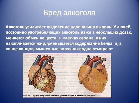 Bior8 24 3.jpg