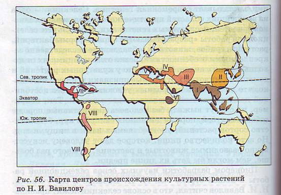 Центры происхождения культурных растений