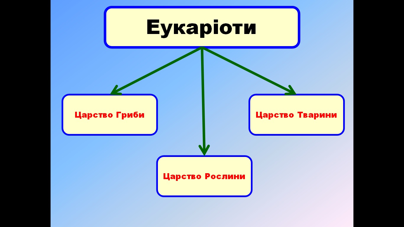 класифікація еукаріотів