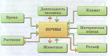 Образование почв