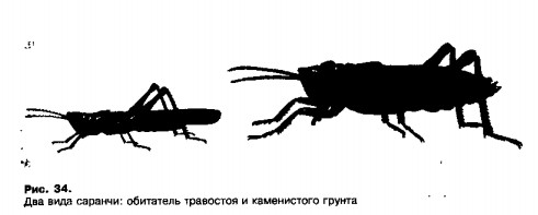 0901-26.jpg