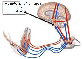 Bior8 9 1.jpg