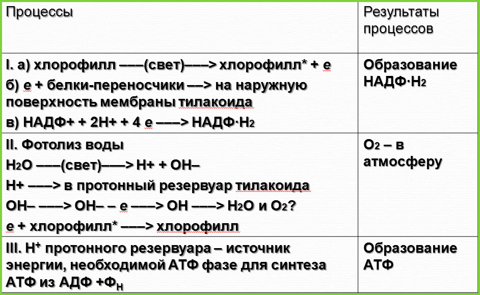 Світлова фаза