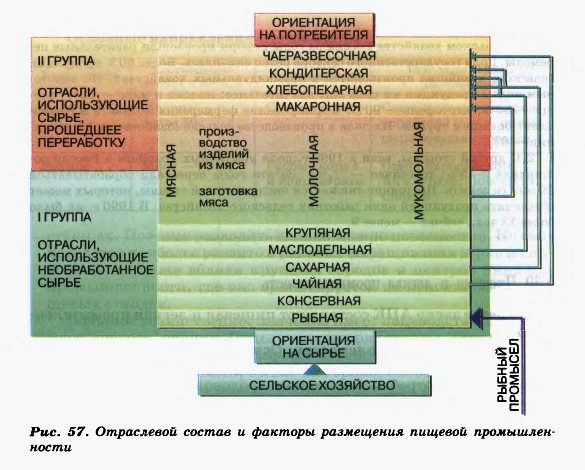 Отраслевой состав и факторы размещения пищевой промышленности