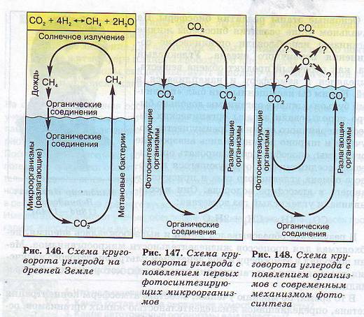 Схема круговорота