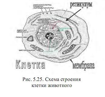 клетка животного