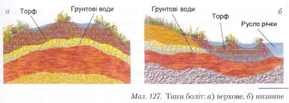 Типи боліт