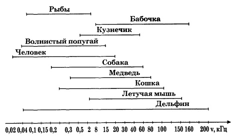 Звуковые волны