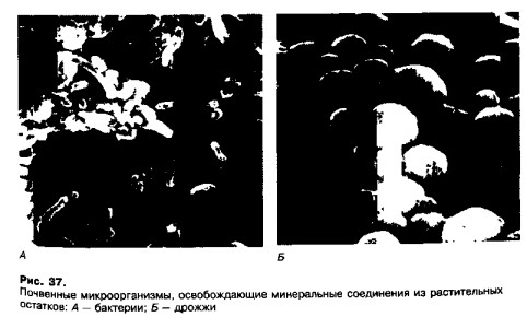 0901-31.jpg