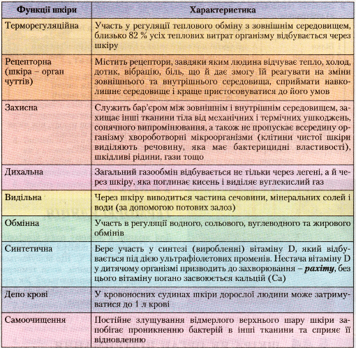 Функції шкіри