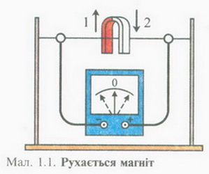 05486.jpg