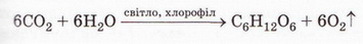 Chemistry 215 2.jpg