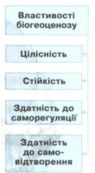 Властивості біогеоценозу