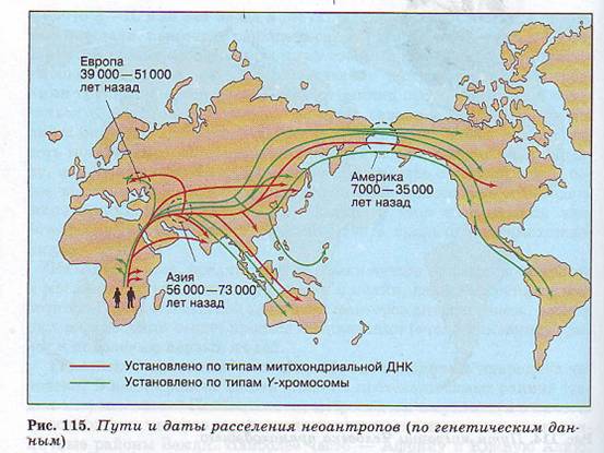 Расселение неоантропов