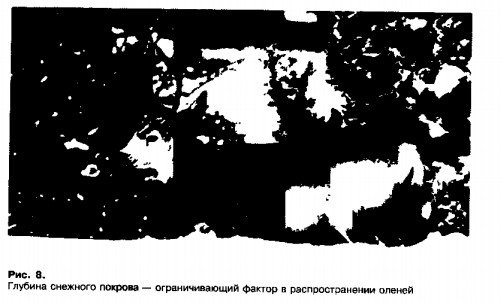 0901-5.jpg